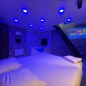Hébergement de vacances Maison Triplex Avec Jacuzzi Et Sauna, Saint-Etienne (Loire)